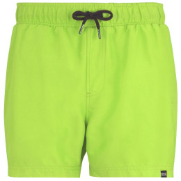 Costume da bagno da uomo Regatta Mawson Swim Shorts III