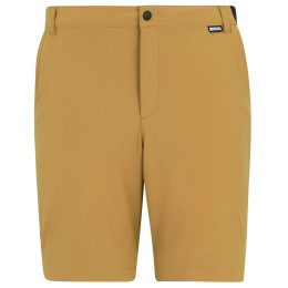 Pantaloncini da uomo Regatta Anti-Insect Travel Light Shorts marrone Wood Brown