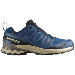 Scarpe da trekking da uomo Salomon Xa Pro 3D V9 Gore-Tex