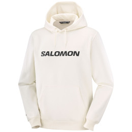 Felpa da uomo Salomon Logo Hoodie M