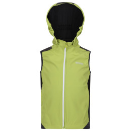 Gilet per bambini Regatta Acidity B/W verde GrnAlg/SlGry