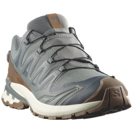 Scarpe da uomo Salomon Xa Pro 3D V9 Gore-Tex Lifelong