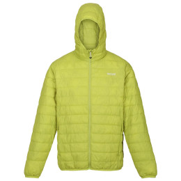 Giacca invernale da uomo Regatta Hooded Hillpack verde scuro Green Algae