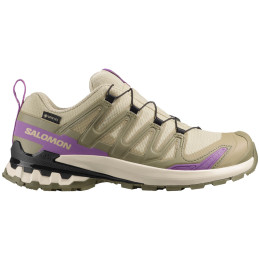 Scarpe da trekking da donna Salomon Xa Pro 3D V9 Gore-Tex