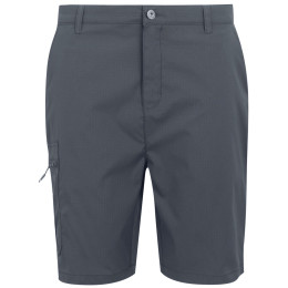 Pantaloncini da uomo Regatta Dalry Short grigio Seal Grey