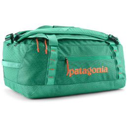 Borsa da viaggio Patagonia Black Hole Duffel 40L