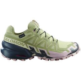 Scarpe da donna Salomon Speedcross 6 Gore-Tex