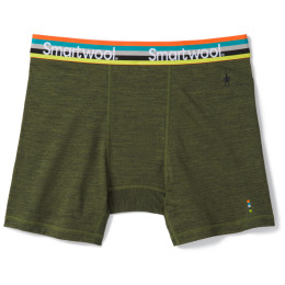 Boxer sportivi da uomo Smartwool M Merino Sport 150 Boxer Brief Boxed verde MossGreenHeather
