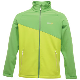 Giacca da uomo Regatta Nebraska Softshell verde