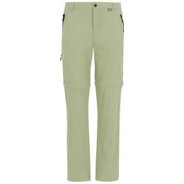 Pantaloni da uomo Regatta Anti-Insect Travel Light Cargo verde chiaro Light Sage