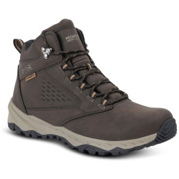 Scarpe da uomo Regatta Amble Boot WP marrone scuro Peat/Tan