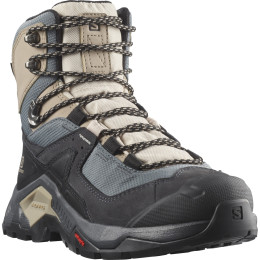 Scarpe da donna Salomon Quest Element Gore-Tex grigio Ebony