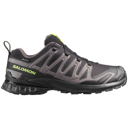 Scarpe da trekking da uomo Salomon Xa Pro 3D V9 Gore-Tex