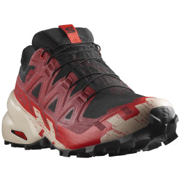 Scarpe da corsa da uomo Salomon Speedcross 6 Gore-Tex