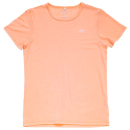 Maglietta da donna Devold Active Tee Wmn