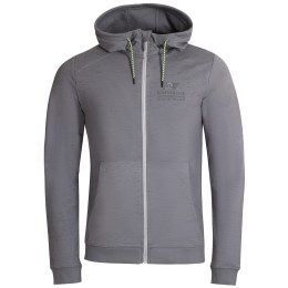 Felpa da uomo Alpine Pro Verg grigio grey
