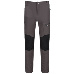 Pantaloni da uomo Regatta Questra II grigio Magnet/Black