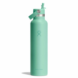 Thermos Hydro Flask Standard Flex Straw Cap 21 oz