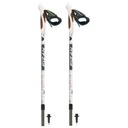 Bastoncini Fizan NW Fitness grigio/nero
