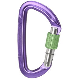 Moschettone Wild Country Session Screw Gate viola purple/green