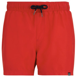 Costume da bagno da uomo Regatta Mawson Swim Shorts III