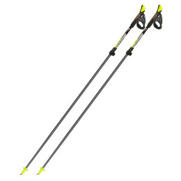 Bastoncini da nordic walking Fizan Carbon Pro 2-pcs