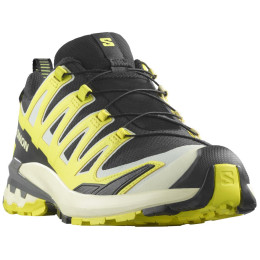 Scarpe da trekking da uomo Salomon Xa Pro 3D V9 Gore-Tex