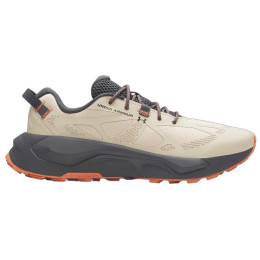 Scarpe da uomo Under Armour Charged Bandit TR 4 beige Brown