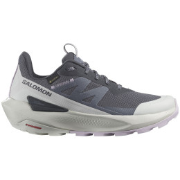 Scarpe da trekking da donna Salomon Elixir Activ Gore-Tex