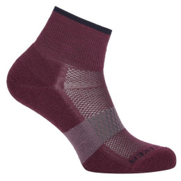 Calzini da donna Icebreaker Women Multisport Light Mini