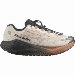 Scarpe da corsa da donna Salomon Aero Blaze 4 Grvl GTX W