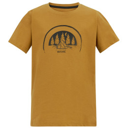Maglietta da bambino Regatta Bosley Wood Brown marrone Wood Brown
