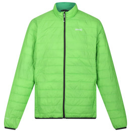 Giacca da uomo Regatta Hillpack verde Jasmine Green (Field Green)