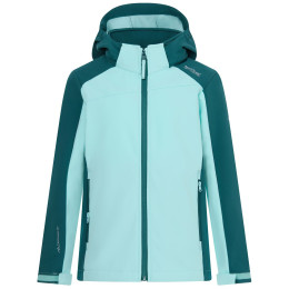Giacca softshell per bambini Regatta Haydenbury Mediterranea verde/verde chiaro Mediterranea/Water Ballet