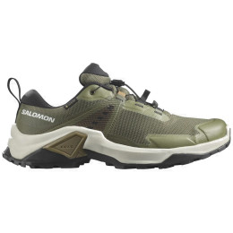 Scarpe da trekking da uomo Salomon X Raise 2 Gtx khaki chiaro Legion Blue