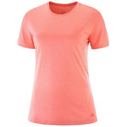 Maglietta da donna Salomon Comet Classic Tee W (2020) arancione DesertFlower