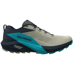 Scarpe da corsa da uomo Salomon Sense Ride 5 grigio/blu Alfalfa