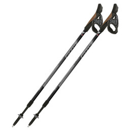 Bastoncini Fizan NW Speed