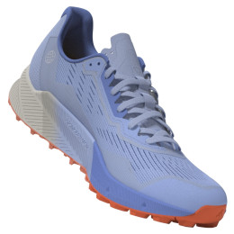 Scarpe da donna Adidas Terrex Agravic Flow 2 GTX W azzurro Bludaw/Blufus/Corfus