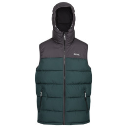 Gilet da uomo Regatta Nevado B/W verde/grigio DkGry/GrnGab
