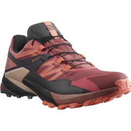 Scarpe da donna Salomon Wings Sky Gore-Tex rosso AppleButter