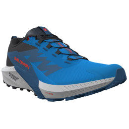 Scarpe da corsa da uomo Salomon Sense Ride 5