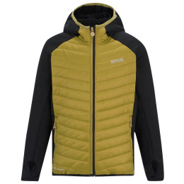 Giacca da bambino Regatta Junior Andreson Hybrid BlkWdBrown verde BlkWdBrown