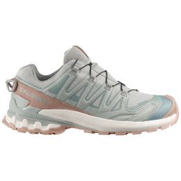 Scarpe da donna Salomon Xa Pro 3D V9 Gore-Tex Lifelong
