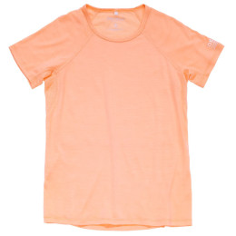 Maglietta da donna Devold Endurance Merino 130 Tee Wmn rosa chiaro SUNRISE