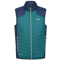 Gilet da uomo Regatta Halton BW VI blu/verde PacifG/Admrl