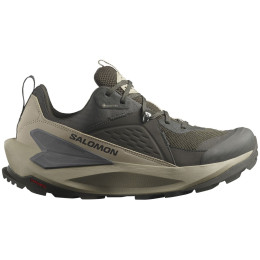 Scarpe da uomo Salomon Elixir Gore-Tex