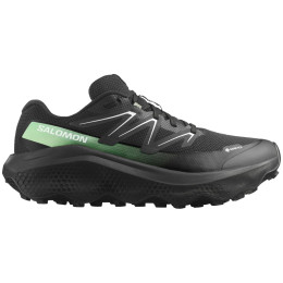 Scarpe da uomo Salomon Ultra Flow 2 Gore-Tex