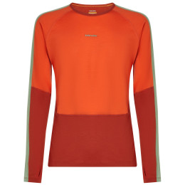Maglietta funzionale da uomo Icebreaker Men Merino 200 Oasis+ LS Crewe arancione Aga/Fer/Seag/Cb