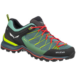 Scarpe da donna Salewa Ws Mtn Trainer Lite Gtx